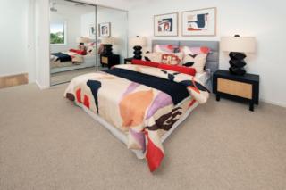 Endeavour Draw 438 Photo